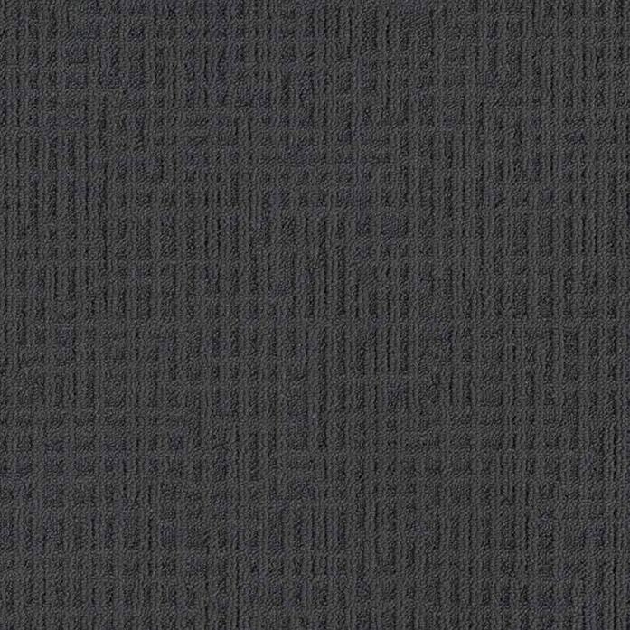 Monochrome 346695