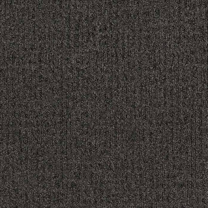 Monochrome 346696