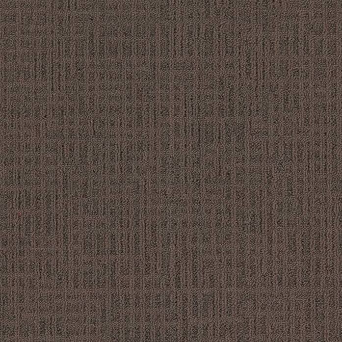 Monochrome 346724