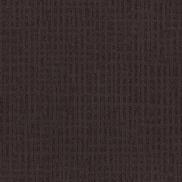 Monochrome 346725