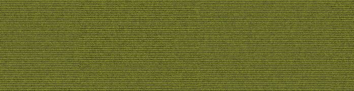 On Line Lime