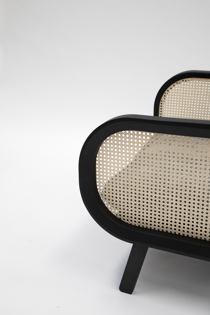 Ps Buzzi Cane 0457