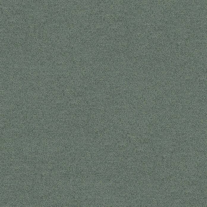 Polichrome Solid 4266001 Metal A