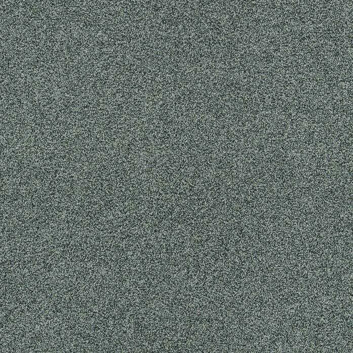 Polichrome Stipple 4265002 Dolphin A