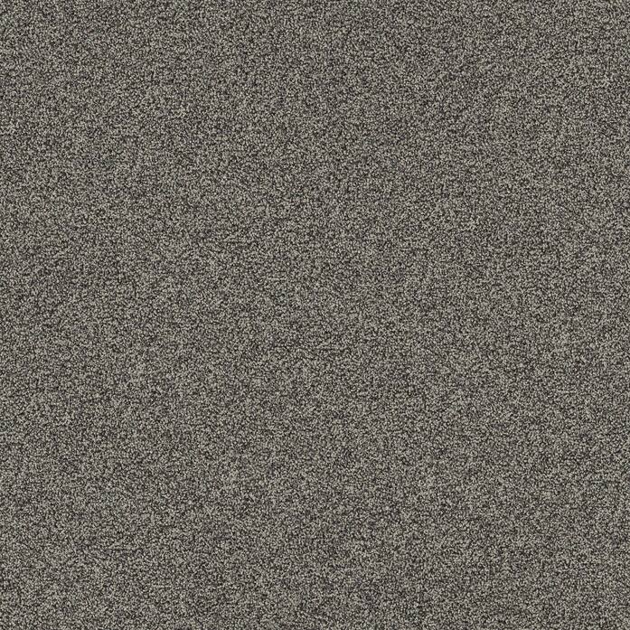 Polichrome Stipple 4265005 Moonrock A