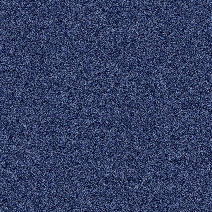 Polichrome Stipple 4265011 Lobelia A