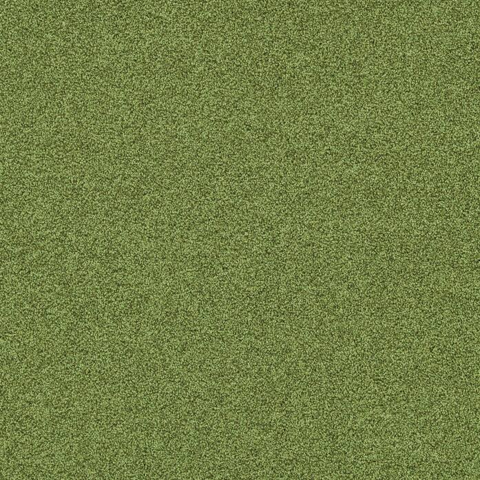 Polichrome Stipple 4265012 Herbal A