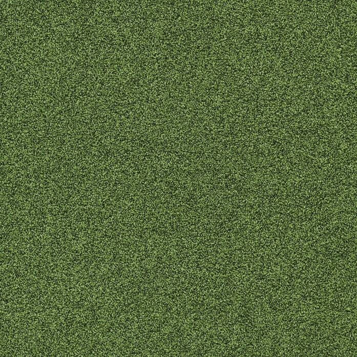Polichrome Stipple 4265016 Cactus A