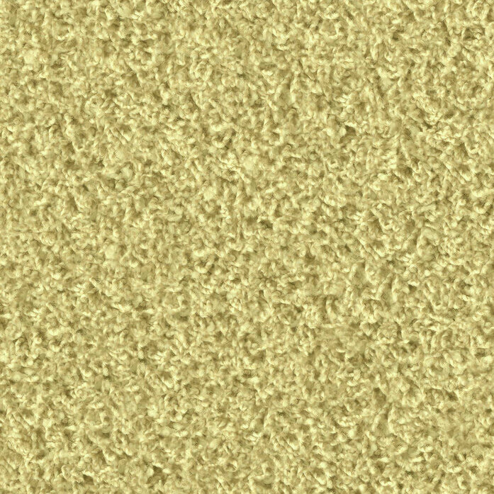 Poodle 1421 Object Carpet