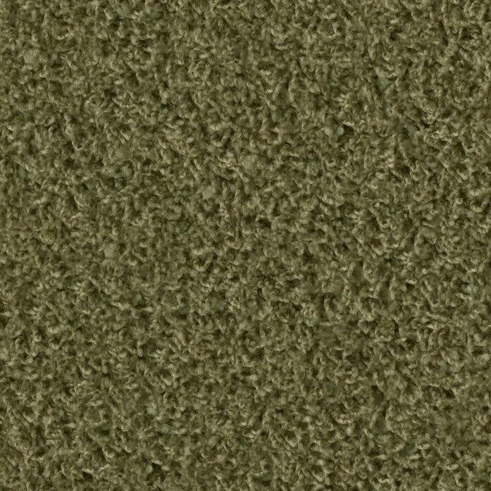Poodle 1427 Object Carpet