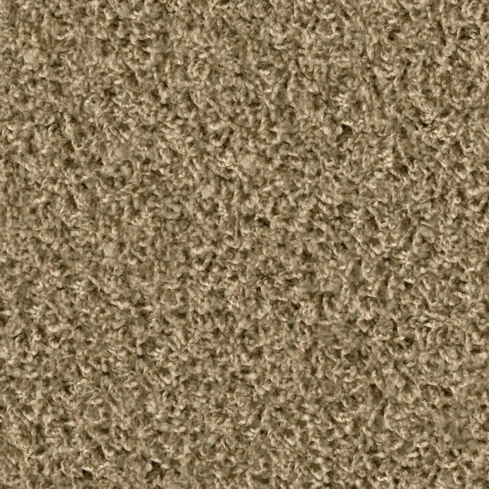 Poodle 1431 Object Carpet
