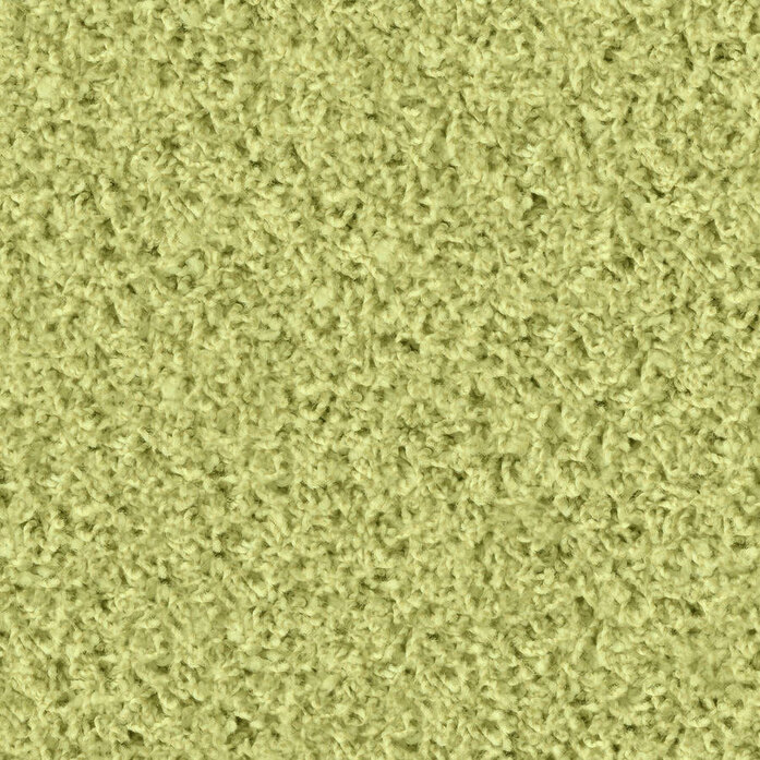 Poodle 1453 Object Carpet