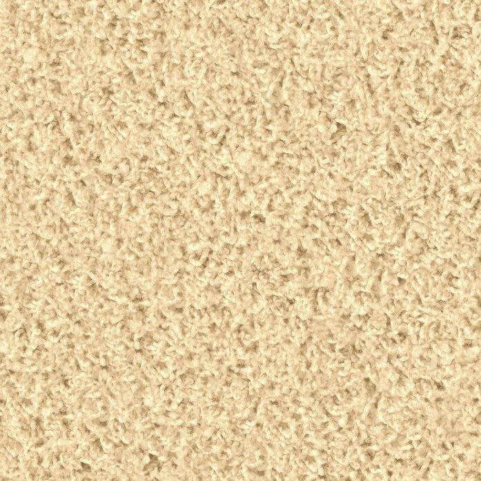 Poodle 1454 Object Carpet