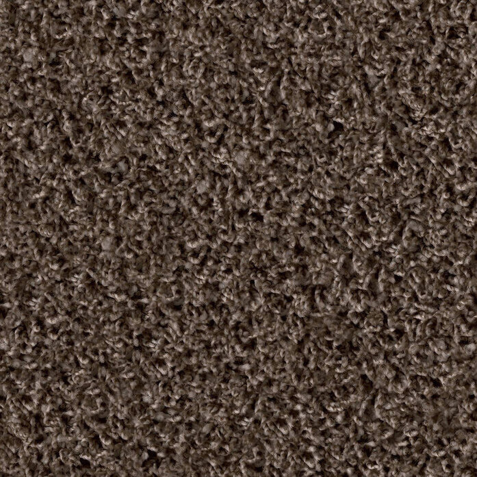 Poodle 1461 Object Carpet