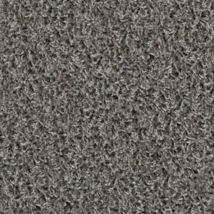 Poodle 1464 Object Carpet