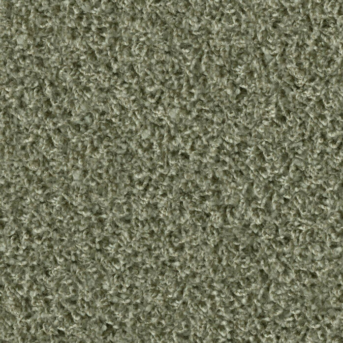 Poodle 1474 Object Carpet