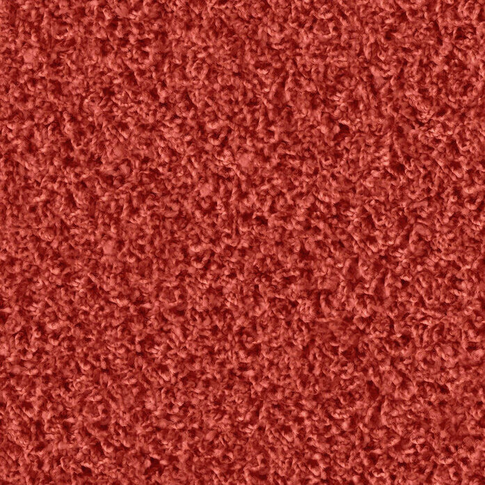 Poodle 1476 Object Carpet
