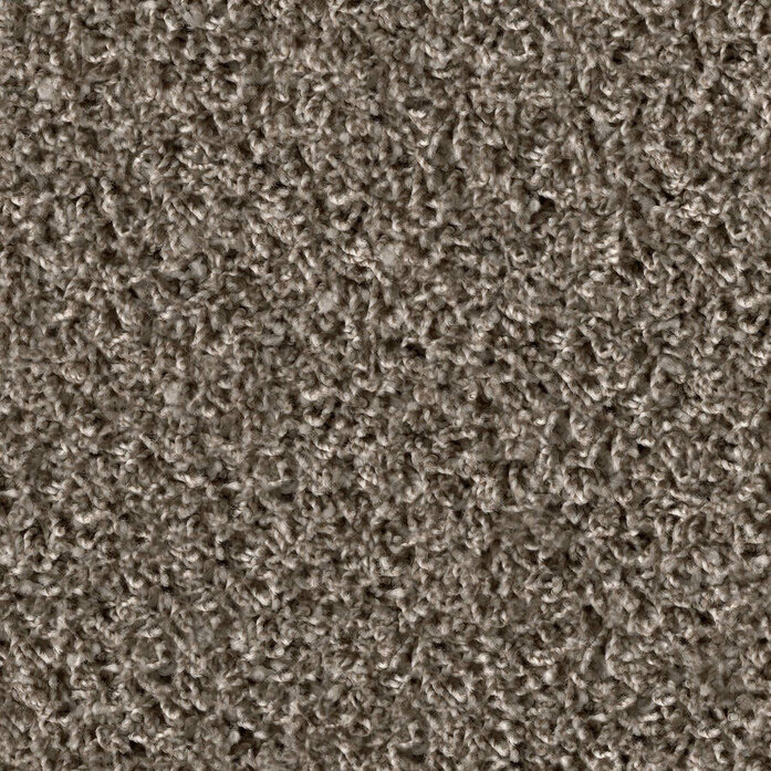 Poodle 1477 Object Carpet