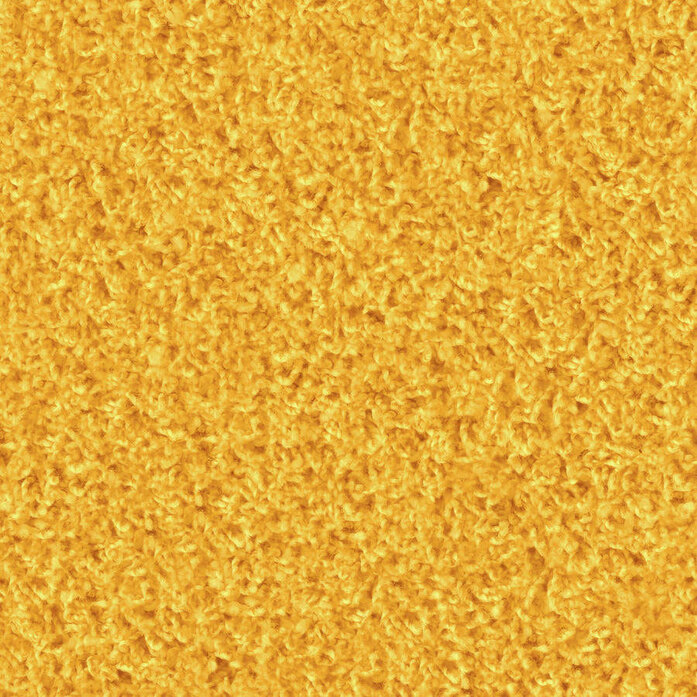 Poodle 1491 Object Carpet