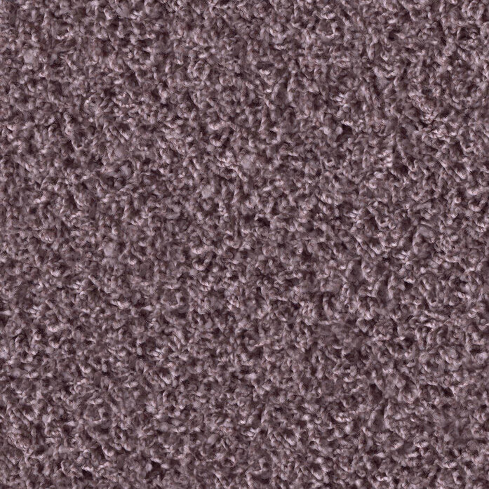 Poodle 1499 Object Carpet