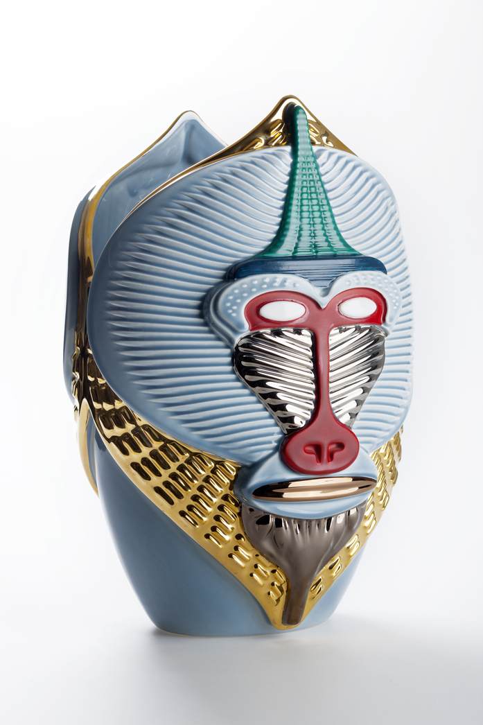 Primates Mandrillus 01 B