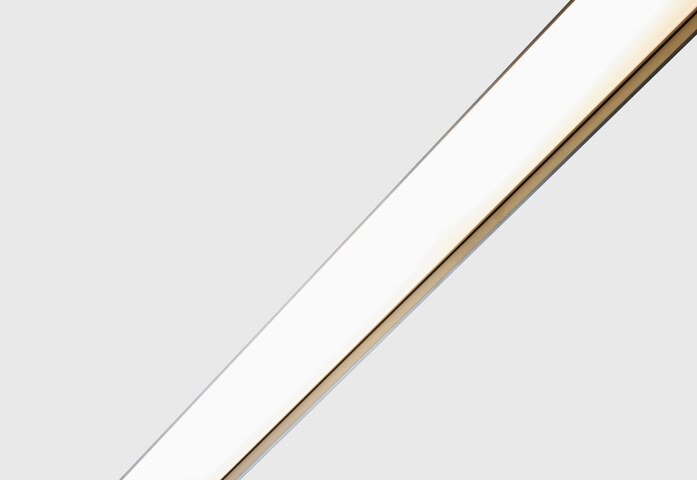 Prologe80 Ligna 01