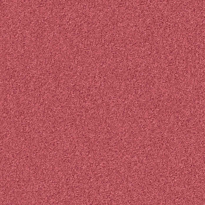 Silky Seal 1202 Object Carpet