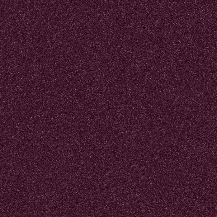 Silky Seal 1207 Object Carpet