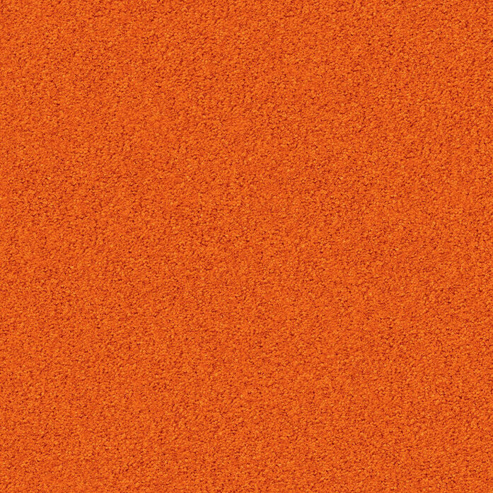 Silky Seal 1208 Object Carpet