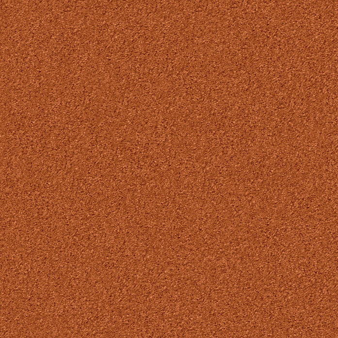 Silky Seal 1209 Object Carpet