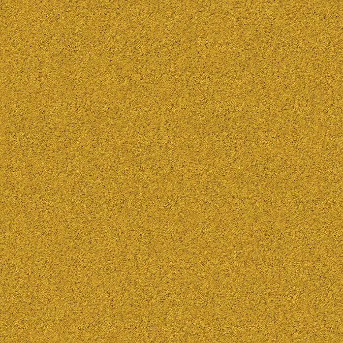 Silky Seal 1211 Object Carpet