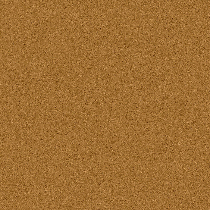 Silky Seal 1212 Object Carpet