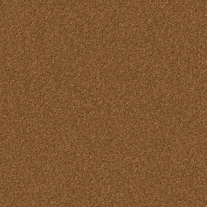 Silky Seal 1213 Object Carpet