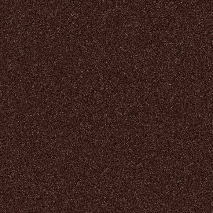 Silky Seal 1216 Object Carpet