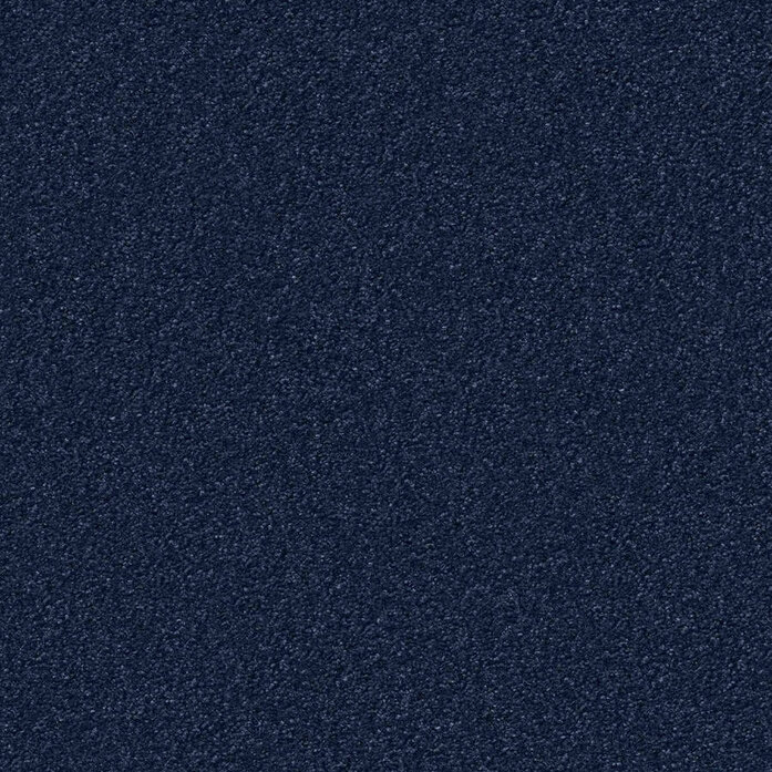 Silky Seal 1222 Object Carpet