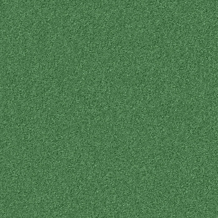 Silky Seal 1223 Object Carpet