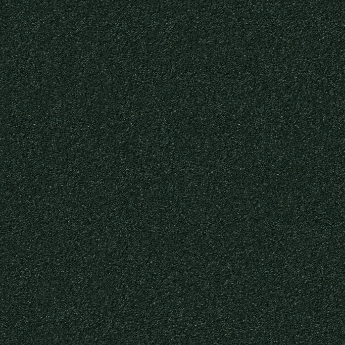 Silky Seal 1224 Object Carpet