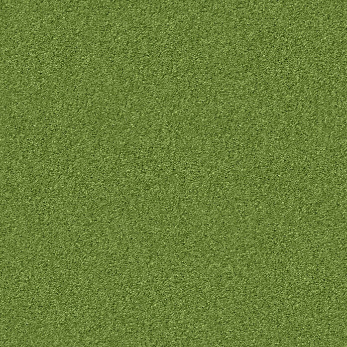 Silky Seal 1227 Object Carpet