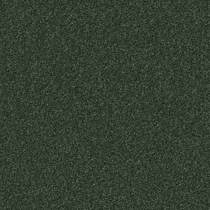 Silky Seal 1230 Object Carpet