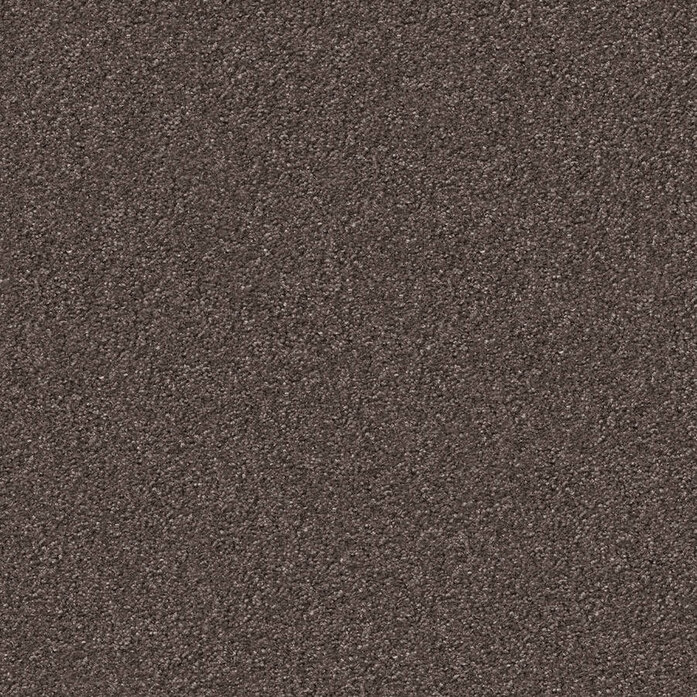Silky Seal 1233 Object Carpet