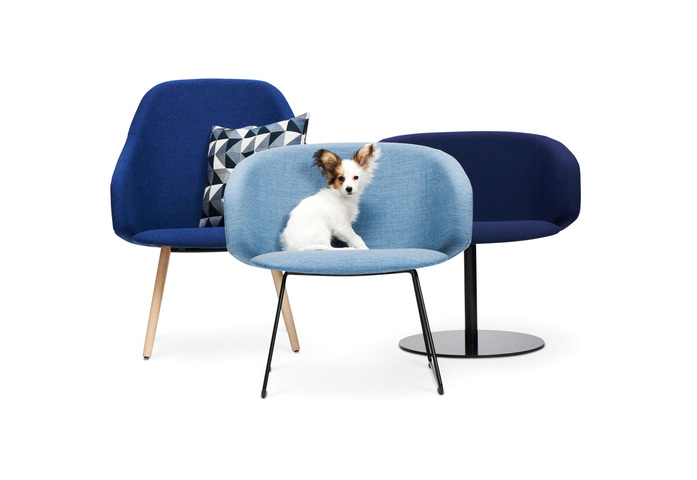 Sola Lounge Chair With Armrests And Sled Base 2