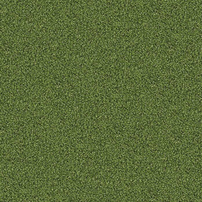 Touch And Tones 101 Moss 659116 3467