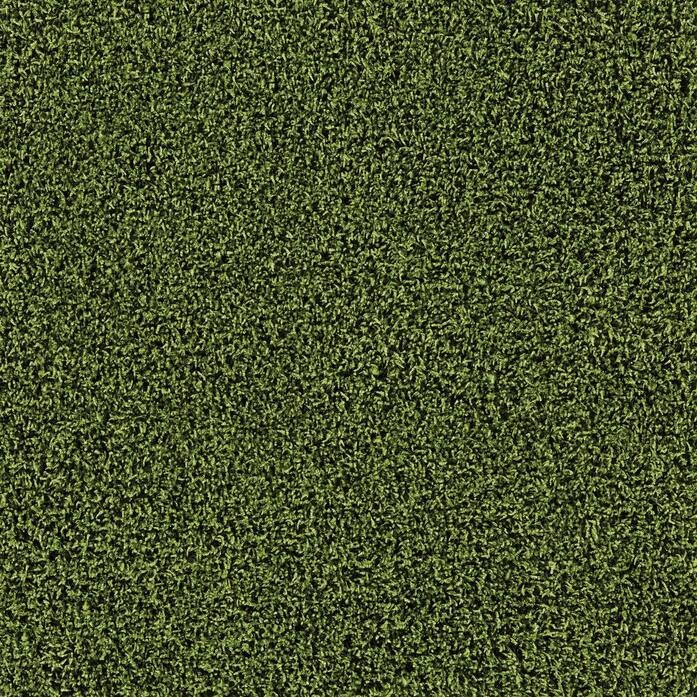 Touch And Tones 103 Moss 659316 3536