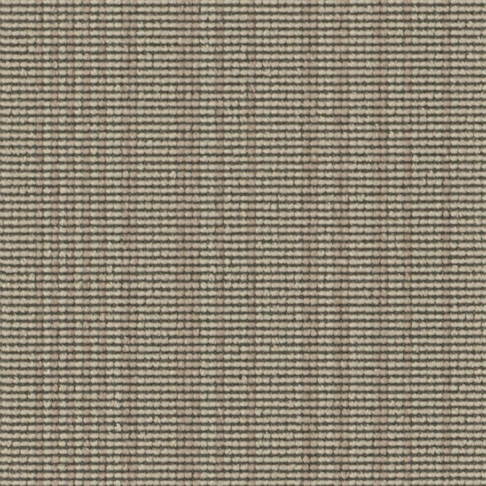 Web Code 0443 Object Carpet