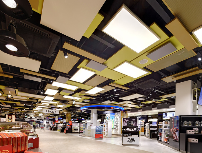Canopy Ceiling 3