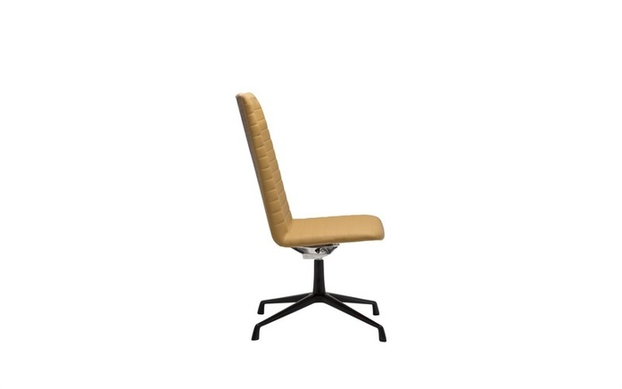 Flex Ex Si1839 Fs Side