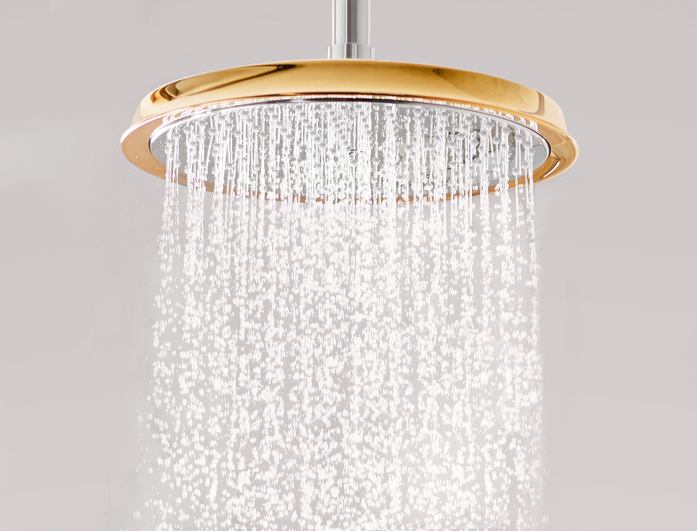 Hansgrohe Raindance Classic Chrome Gold Overhead Water