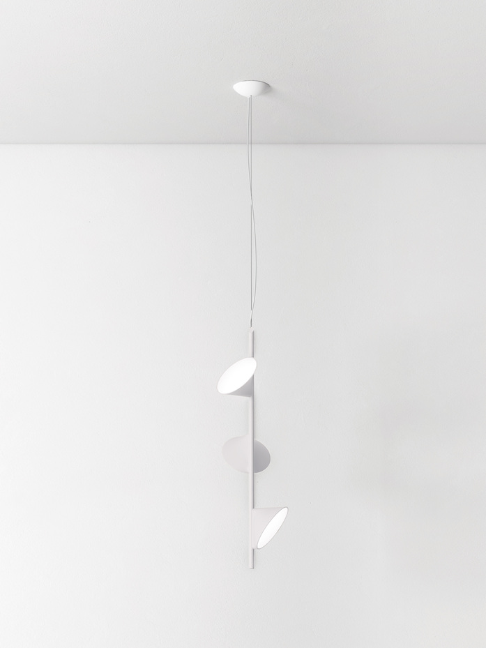 Orchid Sp 3 White