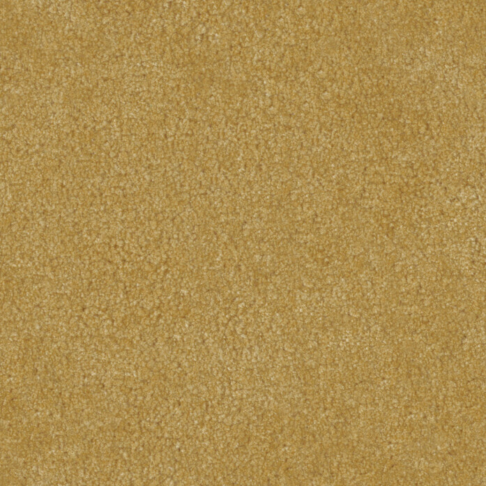 Pure Silk Sand 2513 Jpg 94592 25843