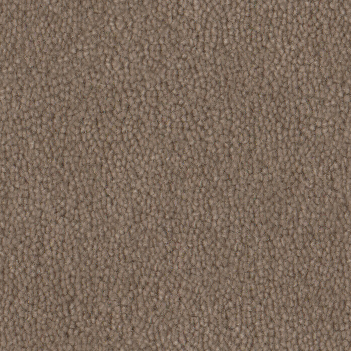 Pure Wool Acorn 2604 Jpg 94736 25922